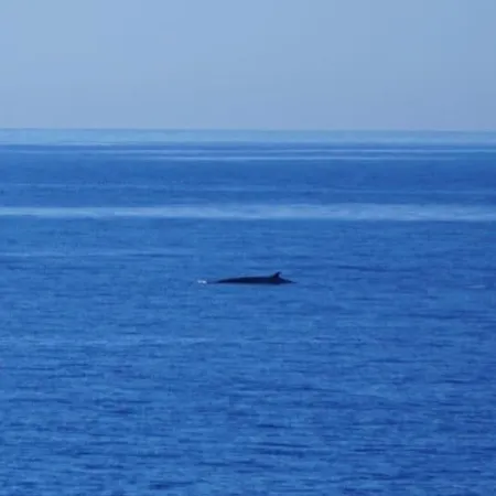 Paz Del Mar Charco del Palo